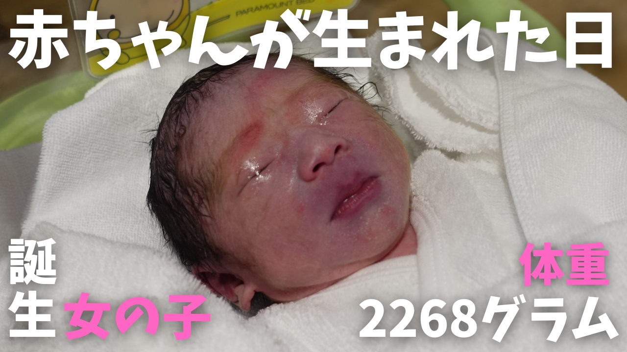 赤ちゃんが生まれた日 / The day our baby was born